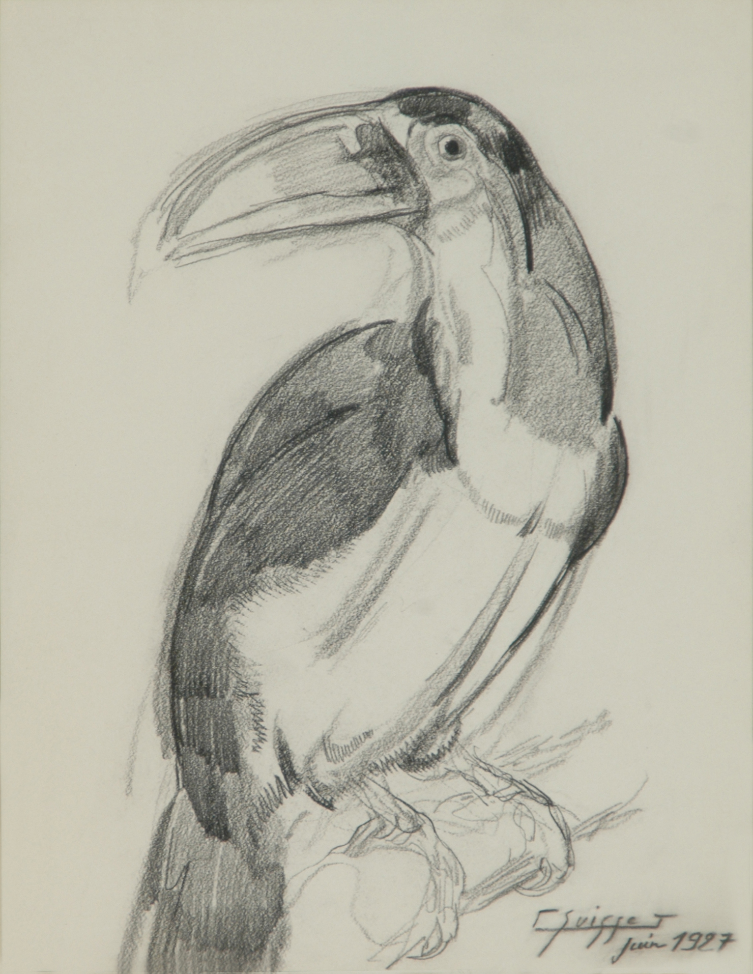 Toucan. 1927.
